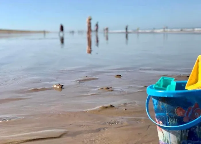 Maison A 150m De La Avec Piscine, Jardin Et Wifi - - Fr-1-231-251 度假居